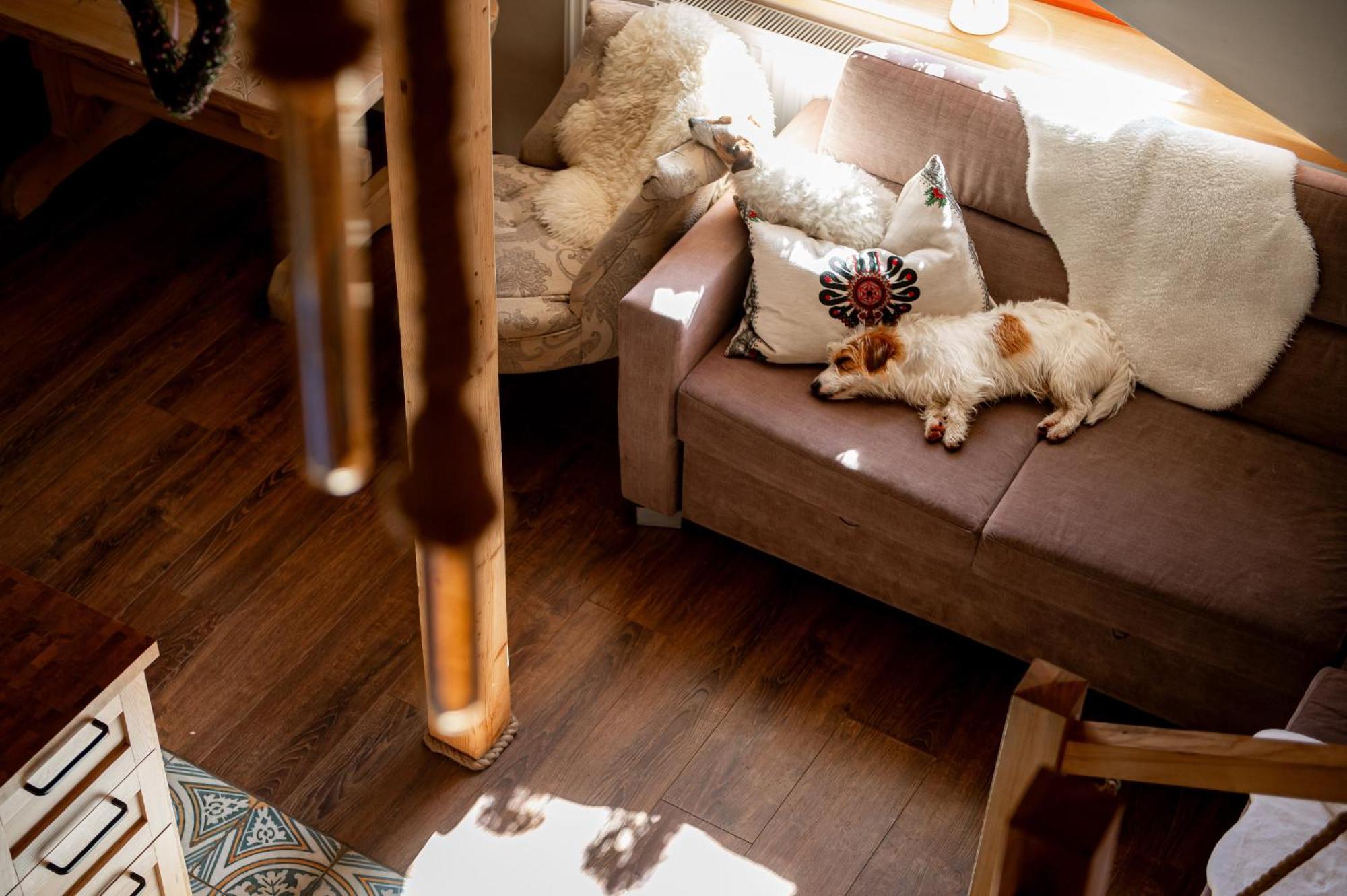 Apartament Gorski U Papierzy Sauna, Jacuzzi, Spa Witów 外观 照片